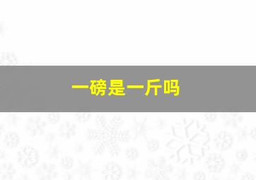 一磅是一斤吗