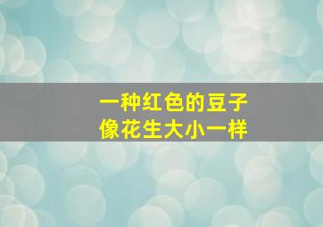 一种红色的豆子像花生大小一样