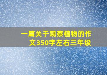 一篇关于观察植物的作文350字左右三年级