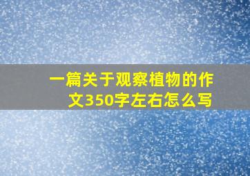 一篇关于观察植物的作文350字左右怎么写