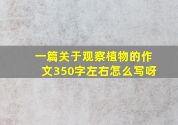 一篇关于观察植物的作文350字左右怎么写呀