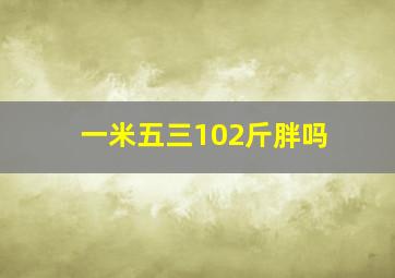 一米五三102斤胖吗