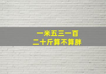 一米五三一百二十斤算不算胖