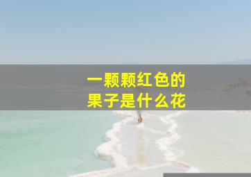 一颗颗红色的果子是什么花