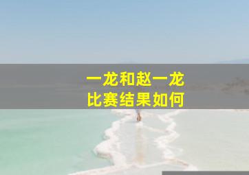 一龙和赵一龙比赛结果如何