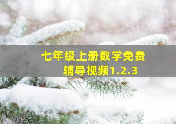 七年级上册数学免费辅导视频1.2.3