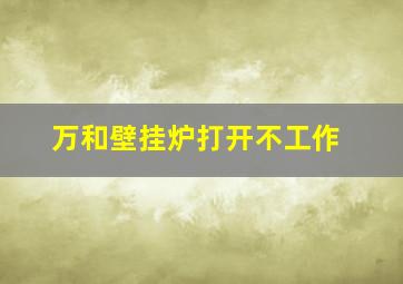 万和壁挂炉打开不工作