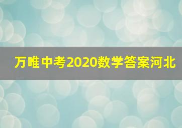 万唯中考2020数学答案河北