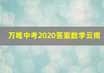 万唯中考2020答案数学云南