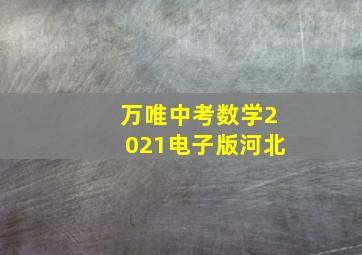 万唯中考数学2021电子版河北