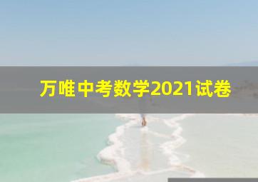 万唯中考数学2021试卷