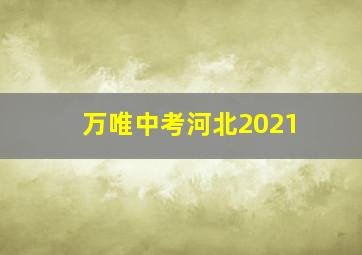 万唯中考河北2021