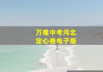 万唯中考河北定心卷电子版