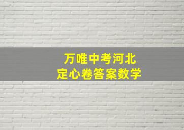 万唯中考河北定心卷答案数学