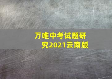 万唯中考试题研究2021云南版