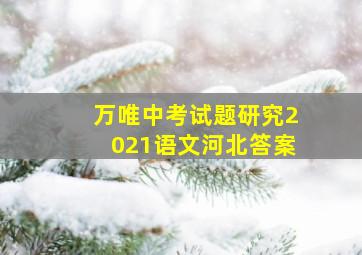 万唯中考试题研究2021语文河北答案