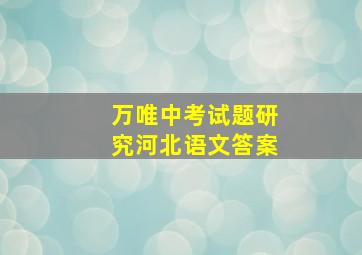 万唯中考试题研究河北语文答案