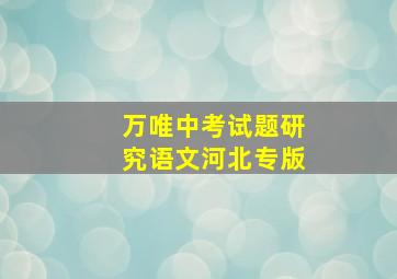 万唯中考试题研究语文河北专版