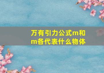 万有引力公式m和m各代表什么物体