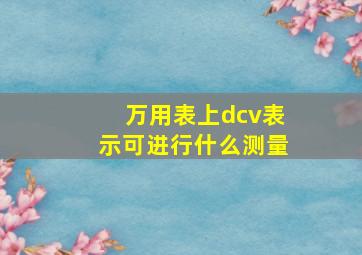 万用表上dcv表示可进行什么测量