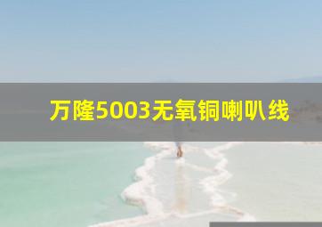 万隆5003无氧铜喇叭线