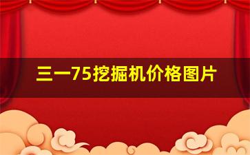 三一75挖掘机价格图片