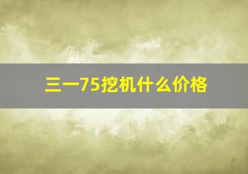 三一75挖机什么价格