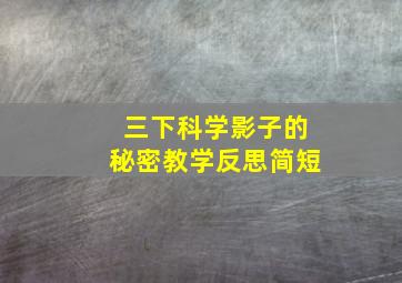 三下科学影子的秘密教学反思简短