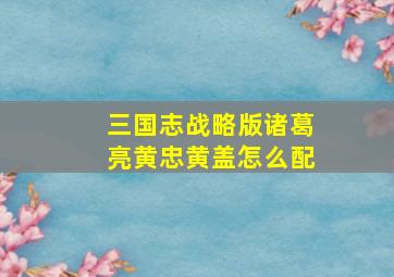 三国志战略版诸葛亮黄忠黄盖怎么配