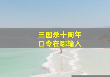 三国杀十周年口令在哪输入