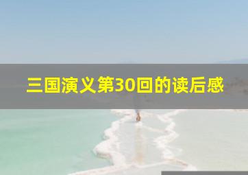 三国演义第30回的读后感