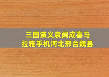 三国演义袁阔成喜马拉雅手机河北邢台魏县