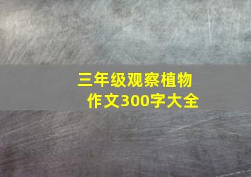 三年级观察植物作文300字大全