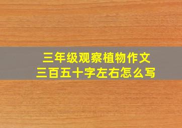 三年级观察植物作文三百五十字左右怎么写