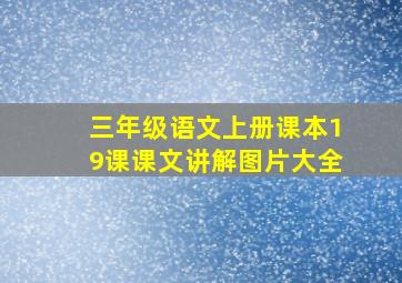 三年级语文上册课本19课课文讲解图片大全