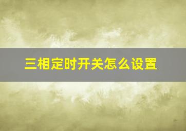 三相定时开关怎么设置