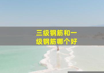 三级钢筋和一级钢筋哪个好