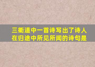 三衢道中一首诗写出了诗人在归途中所见所闻的诗句是