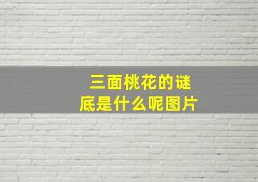 三面桃花的谜底是什么呢图片