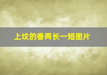 上坟的香两长一短图片