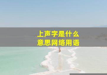 上声字是什么意思网络用语