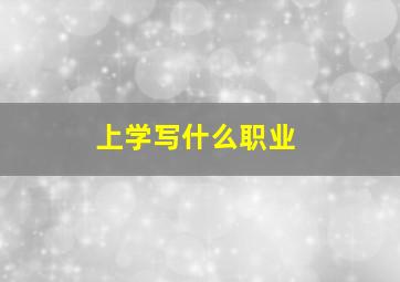 上学写什么职业