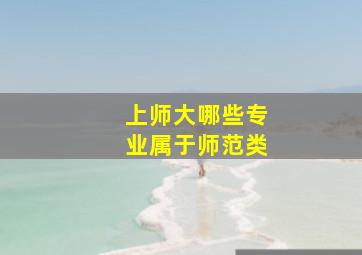 上师大哪些专业属于师范类