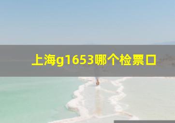 上海g1653哪个检票口