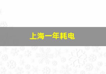 上海一年耗电