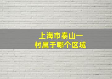 上海市泰山一村属于哪个区域