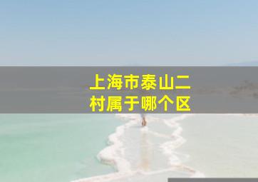 上海市泰山二村属于哪个区