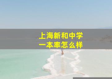 上海新和中学一本率怎么样