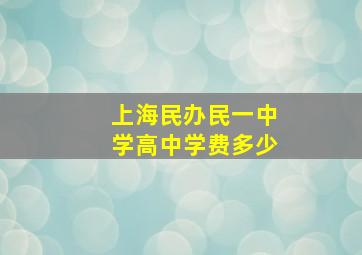 上海民办民一中学高中学费多少