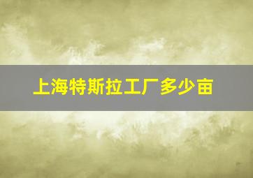 上海特斯拉工厂多少亩